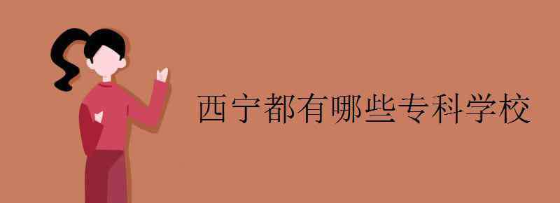 西宁学校 西宁都有哪些专科学校