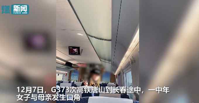 女子高铁辱骂母亲后弃母下车 还怼劝阻乘客 网友却说：事情没这么简单