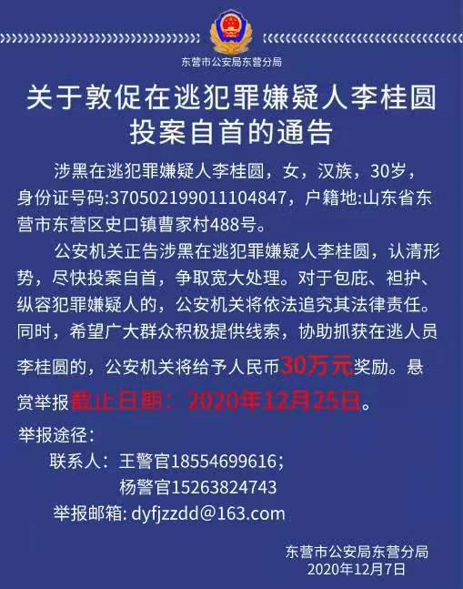 山东东营警方悬赏30万！抓捕涉黑组织女头目 还是个“90后”