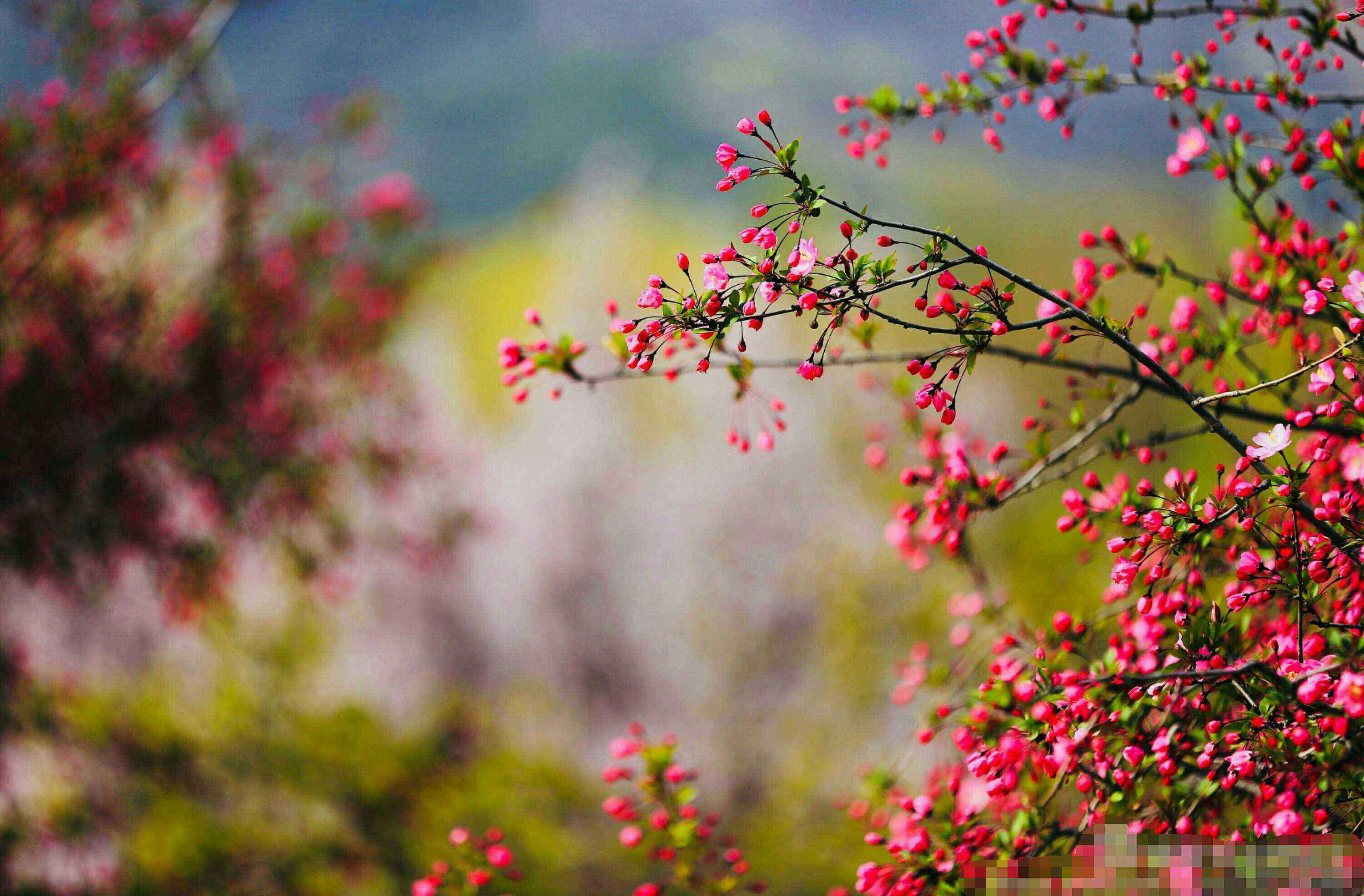 王秀芳 再出发，我们正青春正当年