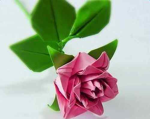 如何折纸玫瑰 用纸折玫瑰花步骤详解  怎样用纸折玫瑰花俘获她的心