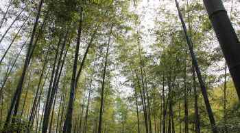 天目湖景区 天目湖十大推荐景点介绍