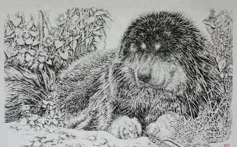 刘兆瑞 国内知名的大咖于戊戌狗年描绘的狗年钢笔画