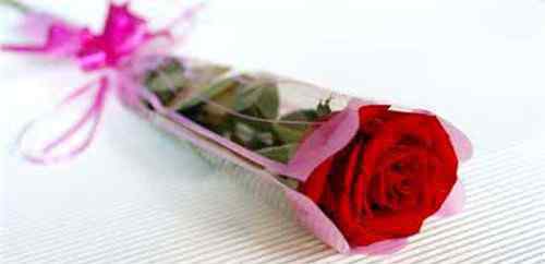 玫瑰花的包装 玫瑰花怎么包装 几种常见的玫瑰包装法