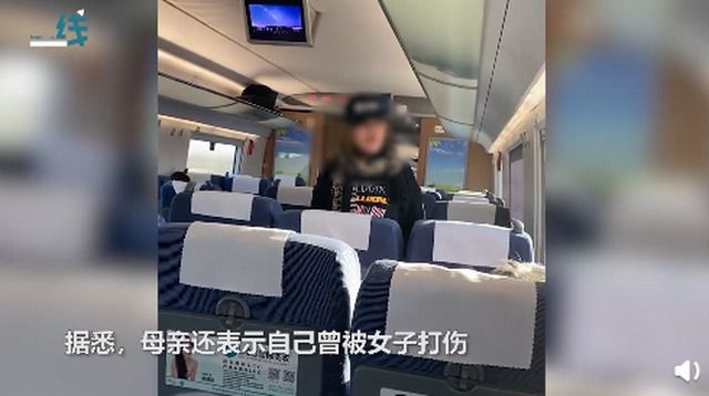 女子高铁辱骂母亲后弃母下车 现场对话记录全曝光