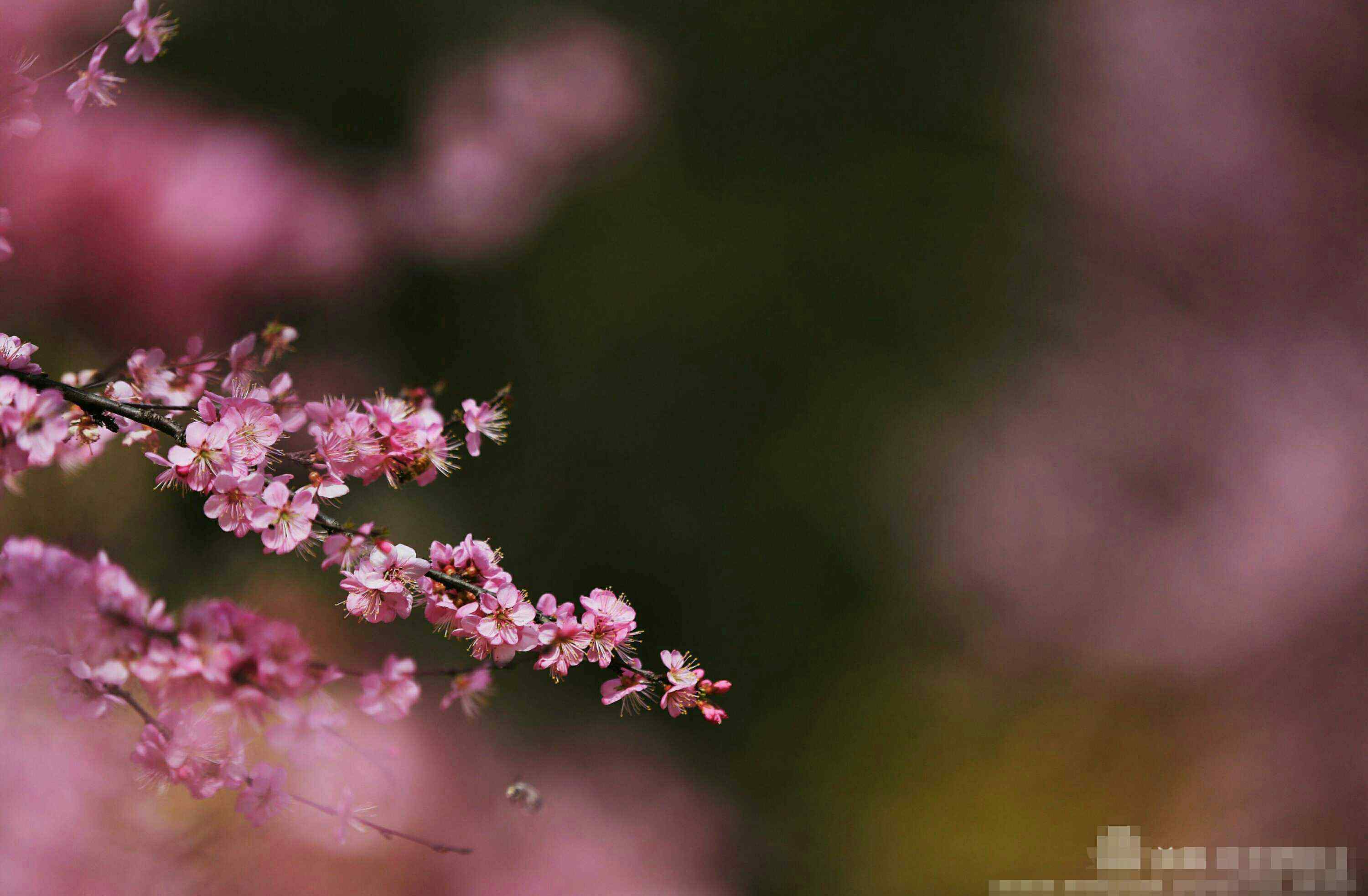 王秀芳 再出发，我们正青春正当年