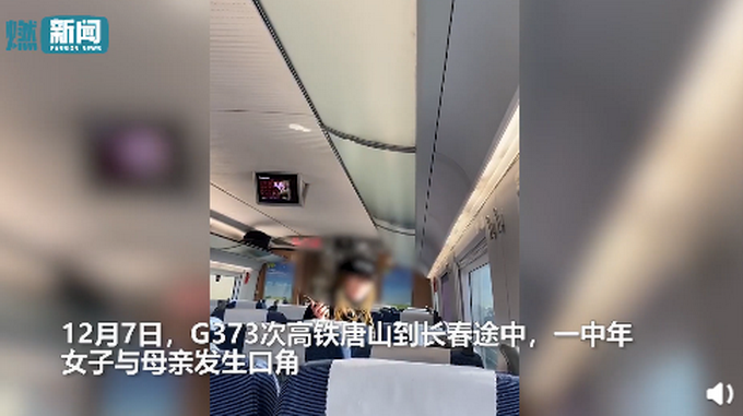 女子高铁辱骂母亲后弃母下车 还怼劝阻乘客 网友却说：事情没这么简单