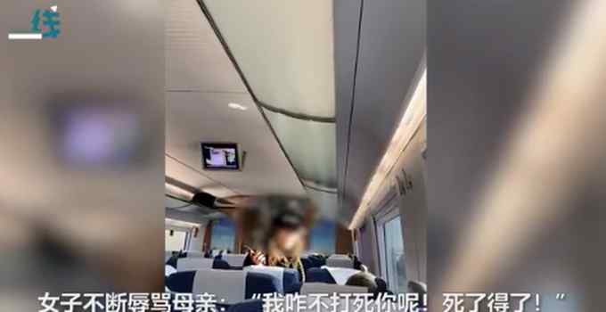 “我咋不打死你呢”女子高铁辱骂母亲后弃母下车 乘客劝阻反遭怼