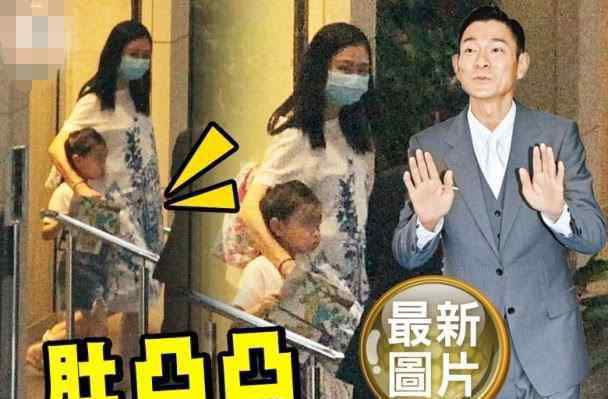 刘德华儿子 刘德华追生儿子成功？港媒曝朱丽倩腹部高隆现身妇科诊所