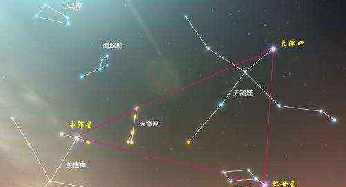 牛郎星是属于什么星座 牛郎星属于什么星座啊 织女星属于什么星座