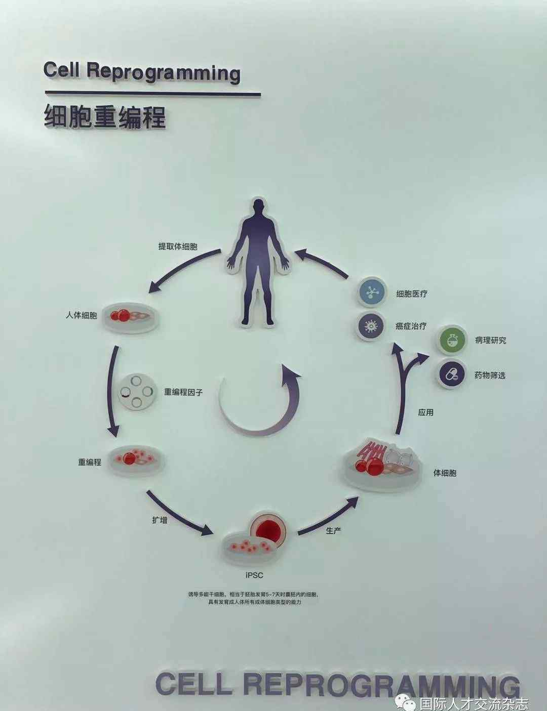 俞君英 走进“魅力合肥”丨​俞君英的初心与合肥的使命