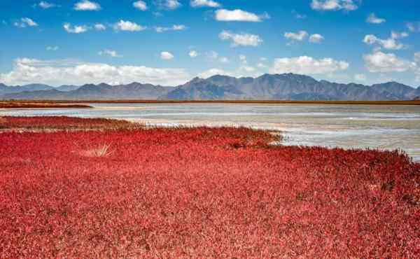 九网旅游 9月旅游最佳地点国内-玩什么