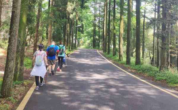 黄南古道 浙江古道秋天徒步推荐