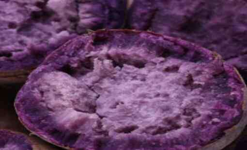 国家承认紫薯是转基因 紫薯是转基因食品吗？蒸多长时间才能熟？发芽了还能吃吗？