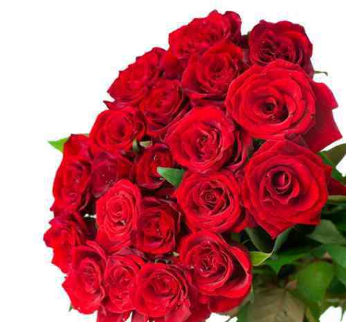 玫瑰花工艺品多少钱 一束玫瑰花多少钱 一束玫瑰花一般是几朵