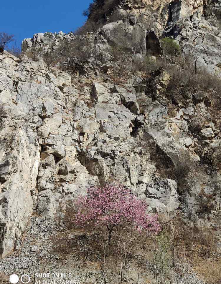 阜平县吧 阜平神仙山一日游