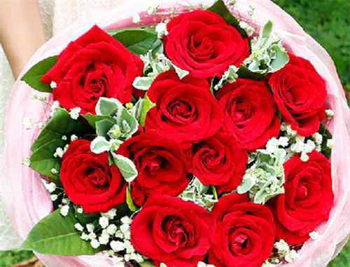 11朵红玫瑰代表什么 11朵红玫瑰花语是什么 11朵红玫瑰花一般多少钱