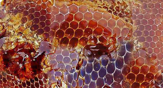 冲蜂蜜水的温度多少度刚好 天然滋养食品蜂蜜用多少度的水冲效果最好?冷水还是热水?可以放冰箱保存吗?