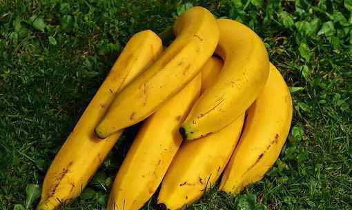 香蕉什么时候吃最减肥 “百果之冠”香蕉什么时候吃减肥?一天吃多少合适?不能和什么一起吃?