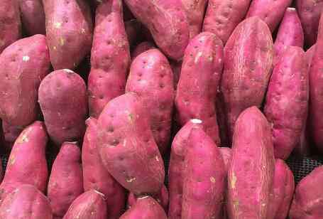 紫薯怎么吃 紫薯怎么做好吃？紫薯蒸多久能熟？
