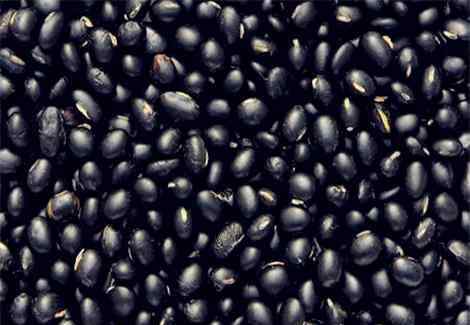 黑豆怎样治白发 能治白发的黑豆8大功效与作用你都清楚吗？怎么吃最补肾？