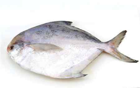 海鱼的做法 海鱼有哪些种类？孕妇可以吃吗？（附详细做法）