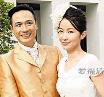 王丽萍个人资料简介 吴镇宇老婆王丽萍个人资料及近况和图片介绍