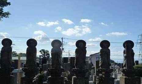 大龙猫 龙猫取景地是哪儿+景点介绍