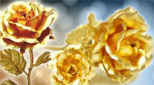 金箔是什么 金箔玫瑰是什么材质   金箔玫瑰代表什么含义