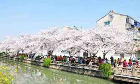 塔铃 2019江南花朝节时间+地点+门票+交通+活动攻略文章配图