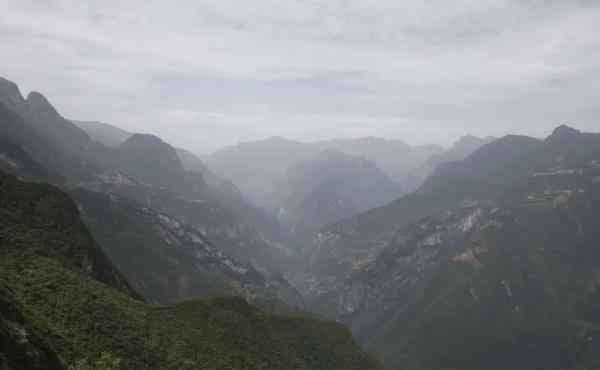 重庆最高的山 重庆海拔最高的地方和山峰是哪里