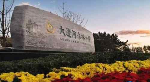 运河森林公园 北京大运河森林公园里面有哪些花 北京大运河森林公园要门票吗