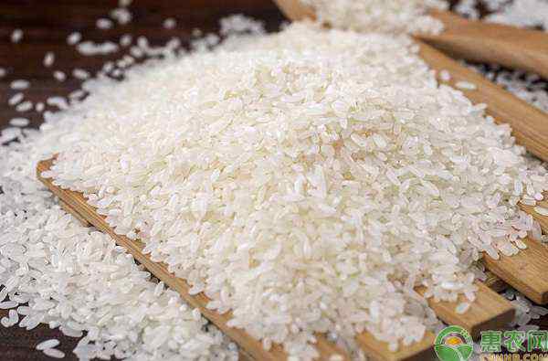 大米行情 今日大米价格多少钱一斤？附最新大米行情走势分析