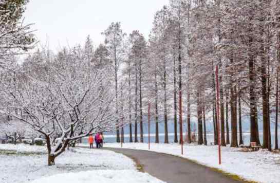 武汉大雪 2018年12月武汉大雪取消航班+晚点列车+结冰路段 武汉天河机场什么时候开放