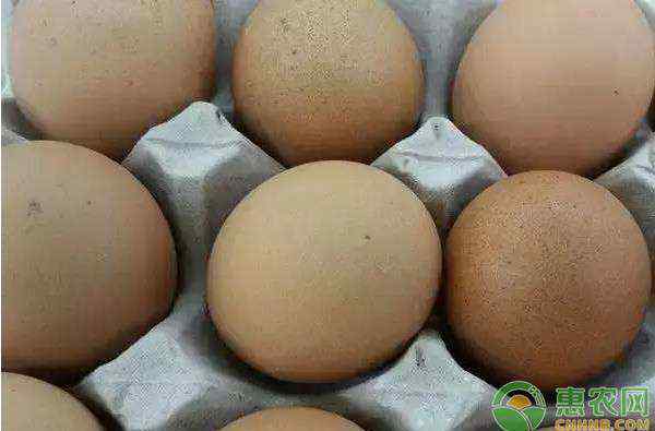 触底反弹 鸡蛋价格为什么降的这么快？2020年鸡蛋价格何时能触底反弹？