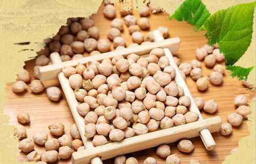鹰嘴豆的营养价值 高蛋白植物鹰嘴豆的功效和作用有哪些?一天吃多少合适?煮多久才能煮熟?