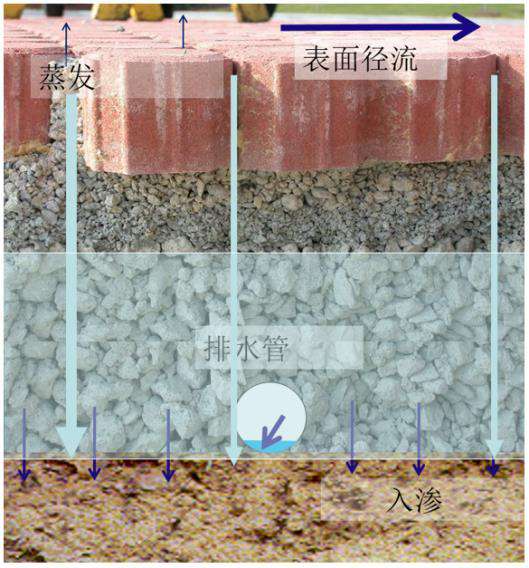 绿色生态家园 龙光地产:构建绿色生态家园 助力城市可持续发展