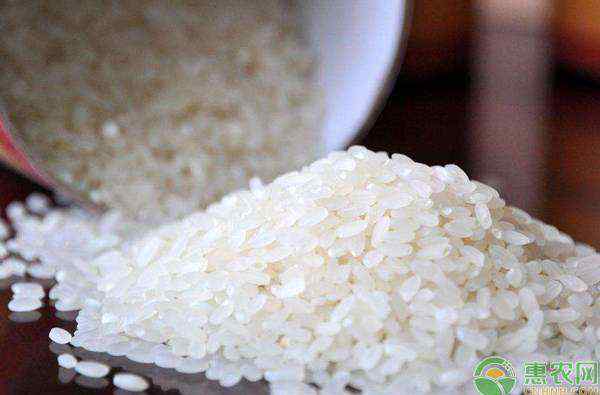 大米价格行情 大米价格多少钱一斤？附2020大米价格行情及走势分析