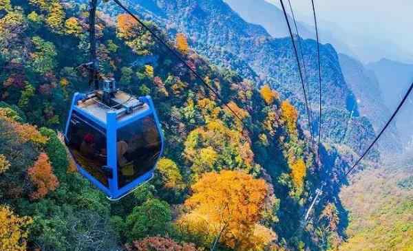 金佛山旅游 金佛山一日游详细攻略