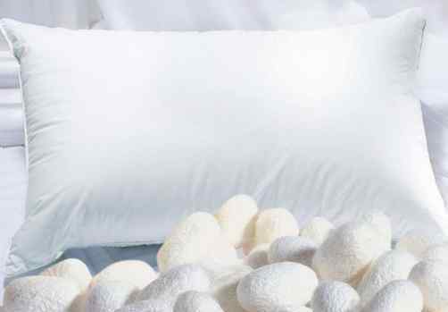 蚕丝枕 蚕丝枕头的优缺点 蚕丝材质的枕头有哪些功效