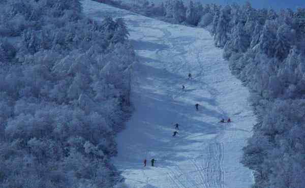神农架香蕉 神农架有几个滑雪场 哪个滑雪场更好