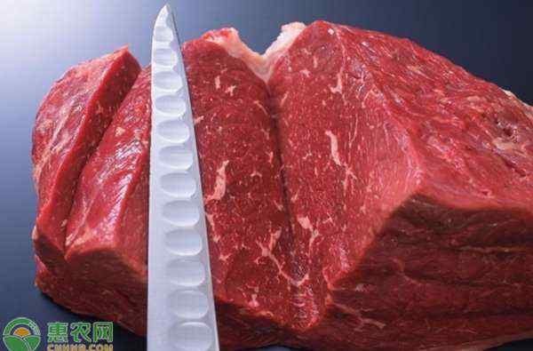 牛肉多少钱一斤 牛肉价格多少钱一斤？2020年牛肉价格行情分析