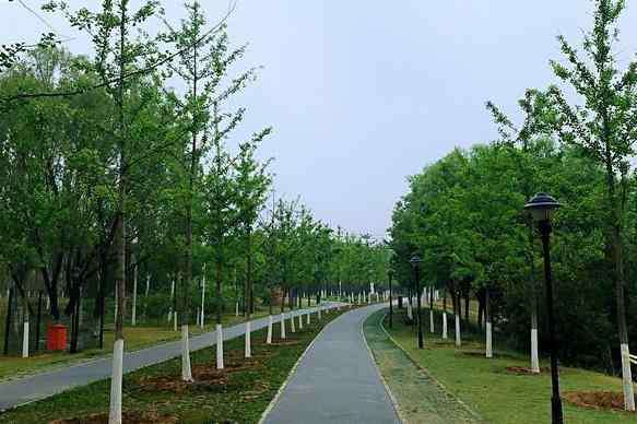 青龙湖水上乐园 2020北京青龙湖湿地公园开放了吗 有什么好玩的