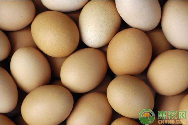 鸡蛋现在多少钱一斤 今天鸡蛋价格多少钱一斤？2020鸡蛋价格行情走势分析