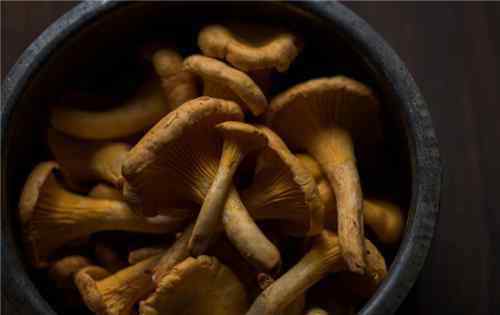 海鲜菇搭配禁忌 “斑玉蕈”海鲜菇搭配禁忌有哪些？不能和哪些食物一起吃？（附种植技术）