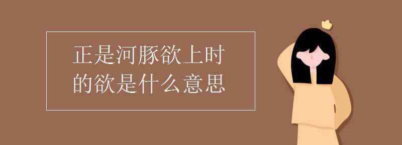 河豚是什么意思 正是河豚欲上时的欲是什么意思