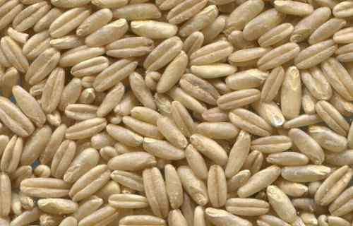燕麦的功效 燕麦的功效与作用有哪些？是粗粮吗？和大麦小麦有什么区别？