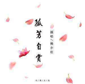 孤芳自赏的女人 我真的很怕黑是什么歌，孤芳自赏！
