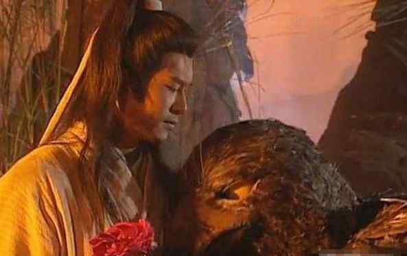 杨过活了多少岁 杨过的神雕到底活了多少岁？说出时间后，你根本不敢相信！