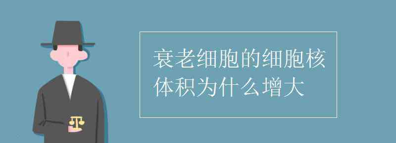 细胞衰老的原因 衰老细胞的细胞核体积为什么增大